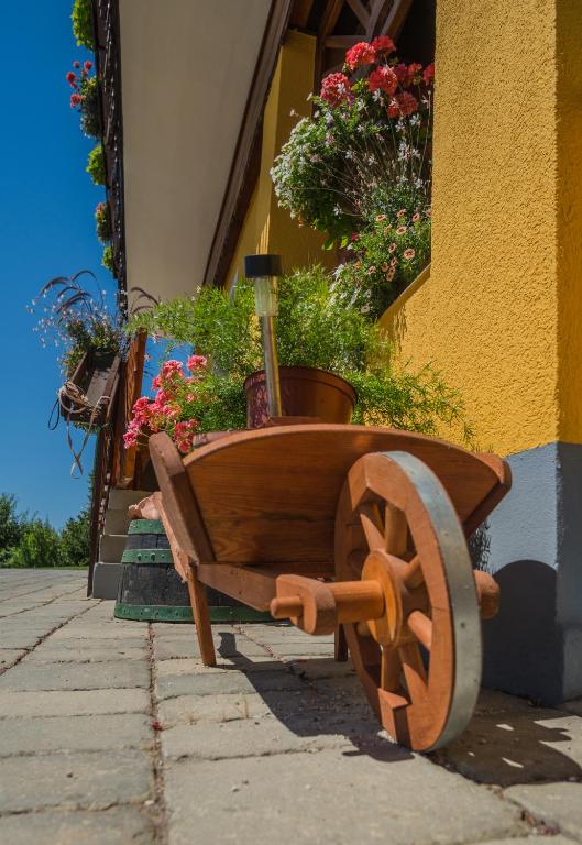 Zahrada ubytování Panorama B&B