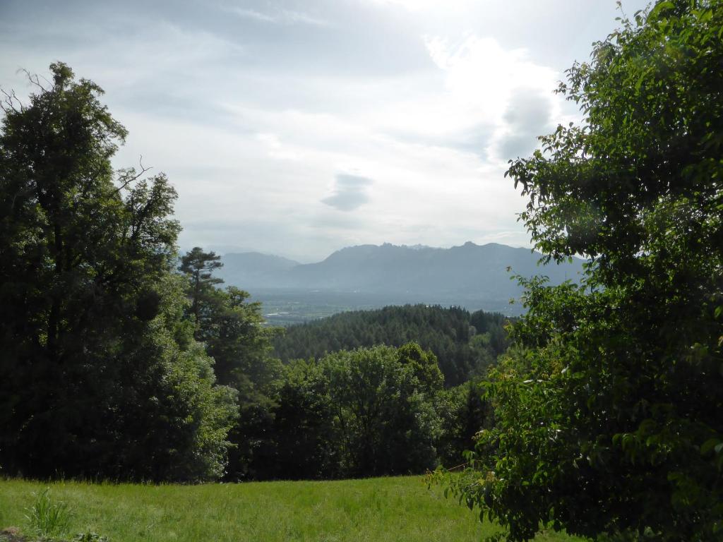 Príroda v okolí apartmánu