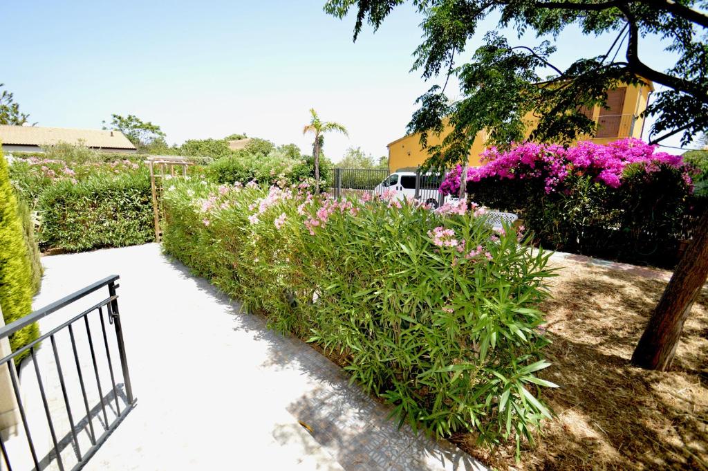 a garden with pink flowers and a fence at Casa Marino in Lascari