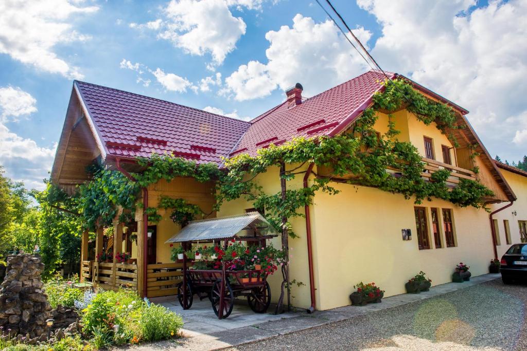 una casa con una mesa delante en Casa Andreea, en Suceviţa
