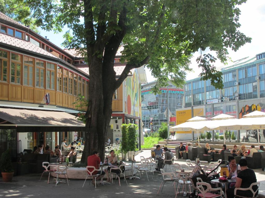 a group of people sitting at tables under a tree at MCC Hostel in Celje