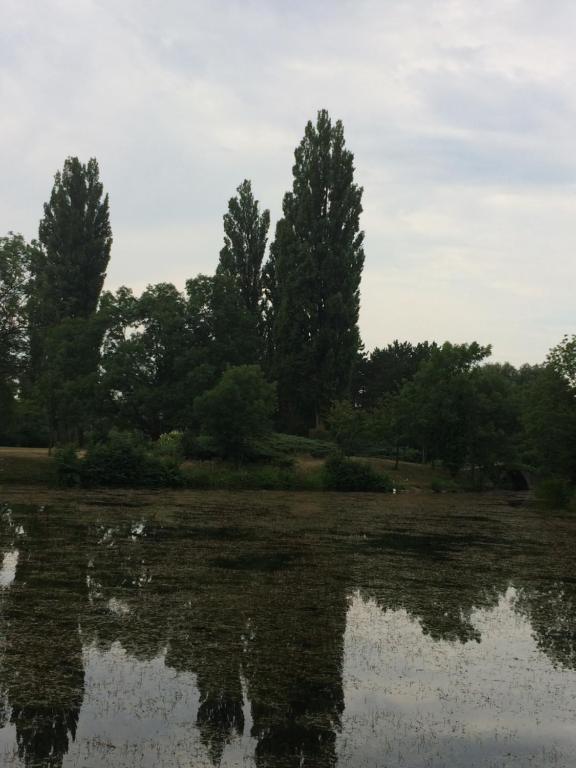 Příroda nedaleko apartmánu
