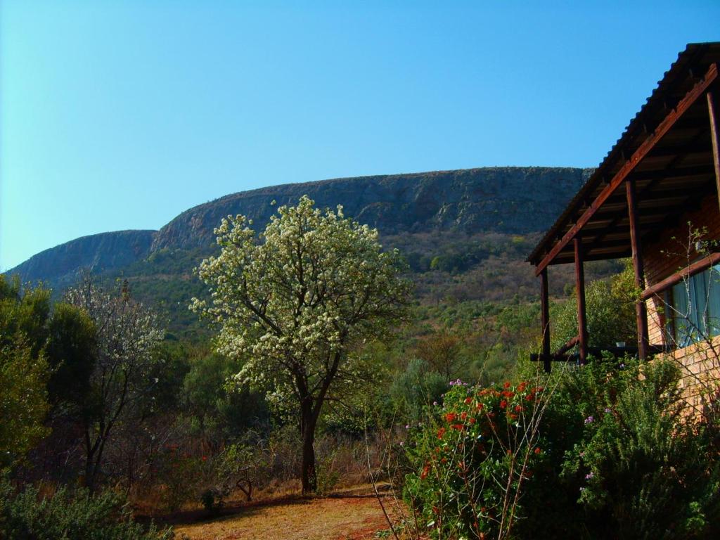 Thirsty Falls CC - Chalet Con Una Camera Da Letto Con Vista Piscina