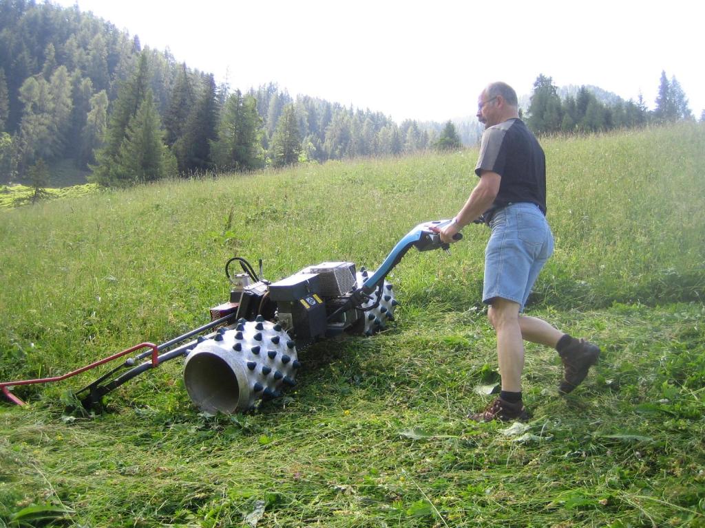 Goście zatrzymujący się w obiekcie Pension Hedegghof