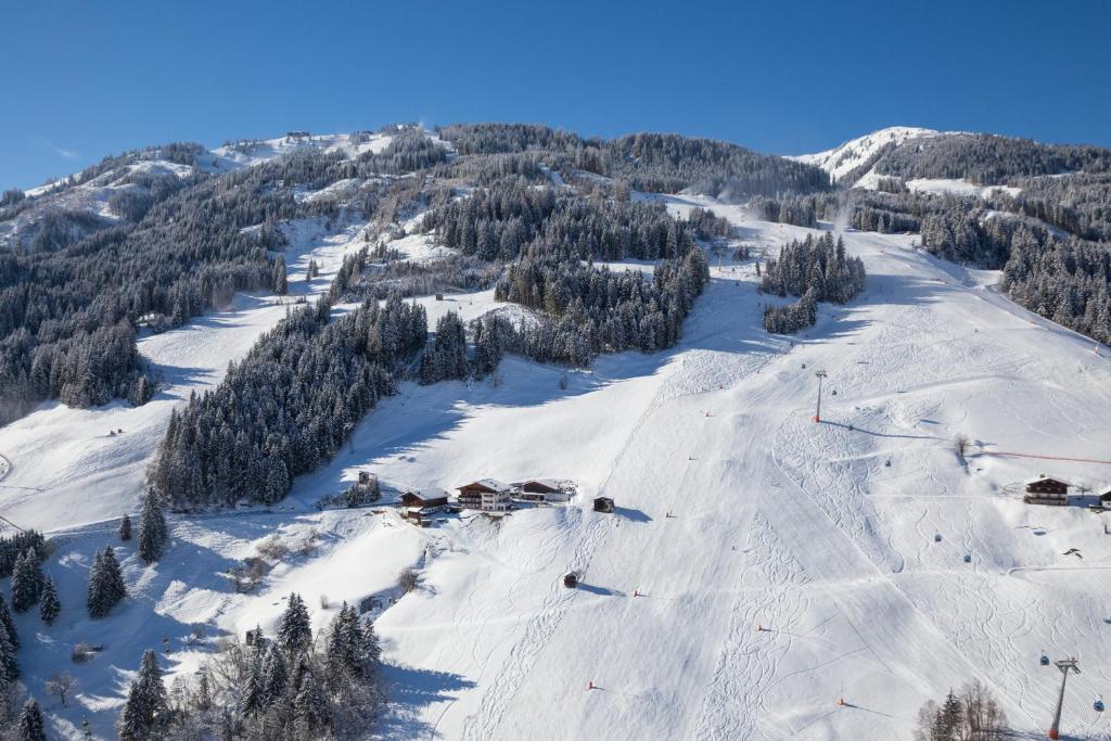 stok narciarski z drzewami na górze w obiekcie Pension Hedegghof w mieście Grossarl