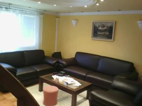 un soggiorno con divano e tavolino da caffè di Ćane Rooms a Bela Crkva