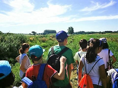 Goście zatrzymujący się w obiekcie Agriturismo Podere dei kiwi