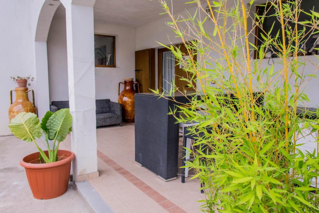 Zahrada ubytování B&B Ca'neva