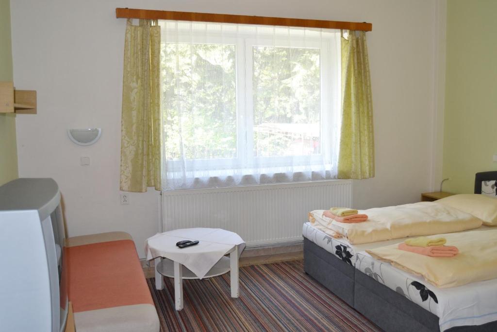 イェセニークにあるPenzion Čertovy Kamenyのベッド2台と窓が備わるホテルルームです。