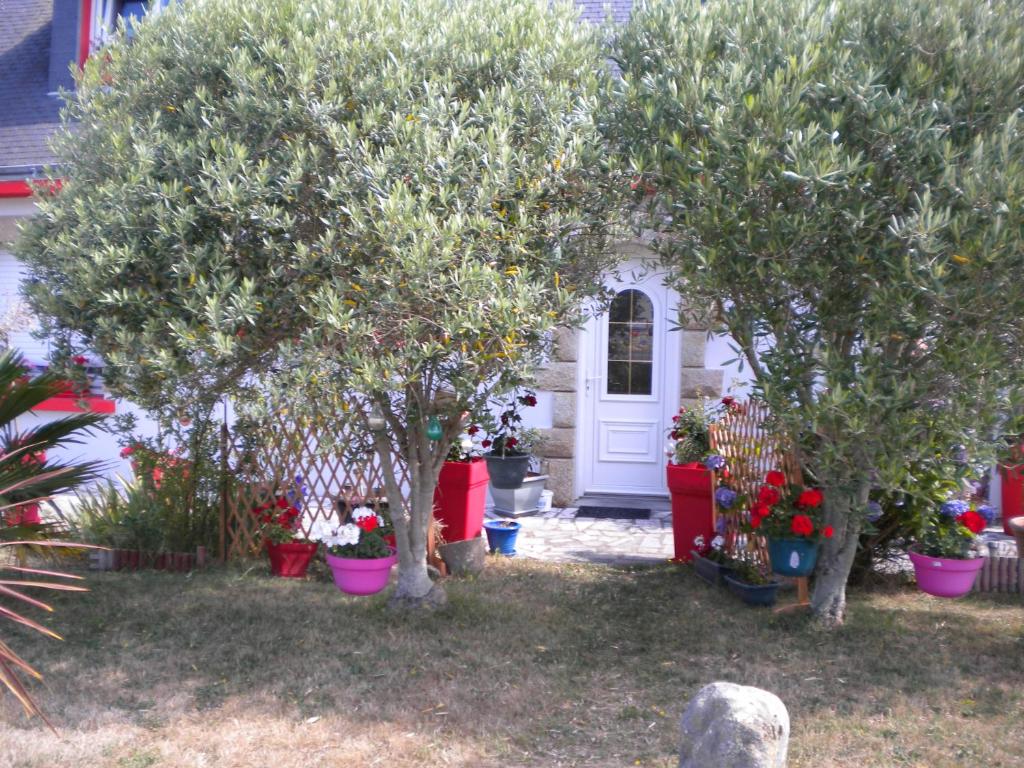 ポール・ルイにあるKerbelle Mariaの玄関前の鉢植えの木々が植えられた庭園