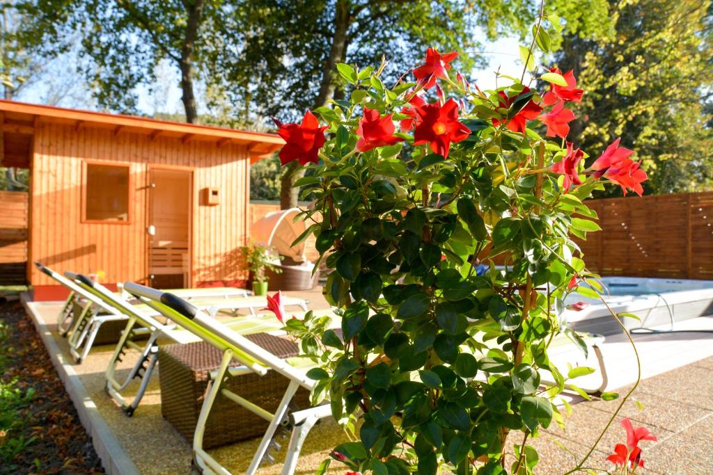 Zahrada ubytování Hotel Lukács Superior