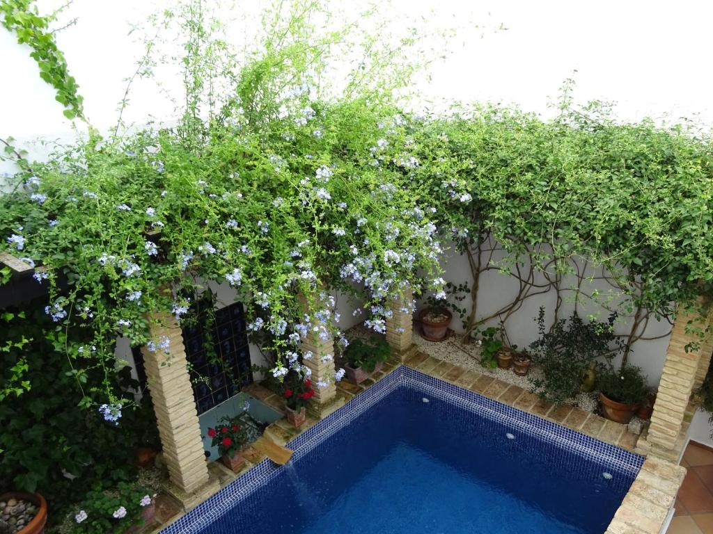 Casa la Lobaの敷地内または近くにあるプール