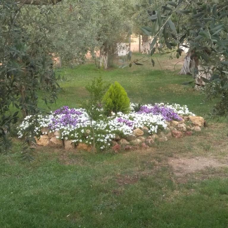 Zahrada ubytování Sunray Separate Villa