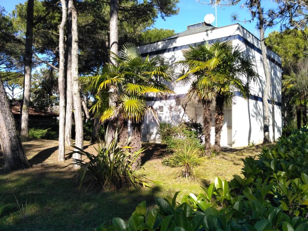 a white building with palm trees in front of it at Condominio VILLA CHIARA in Lignano Sabbiadoro