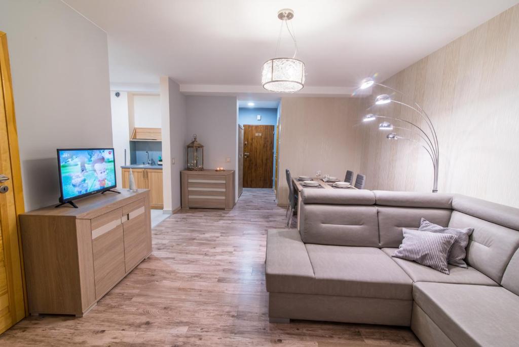 Televízia a/alebo spoločenská miestnosť v ubytovaní Apartamenty Pod Niedźwiedziem I