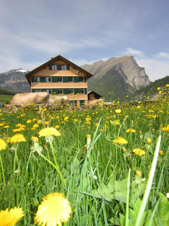 ein Blumenfeld vor einem Gebäude in der Unterkunft Jokelehof in Au im Bregenzerwald