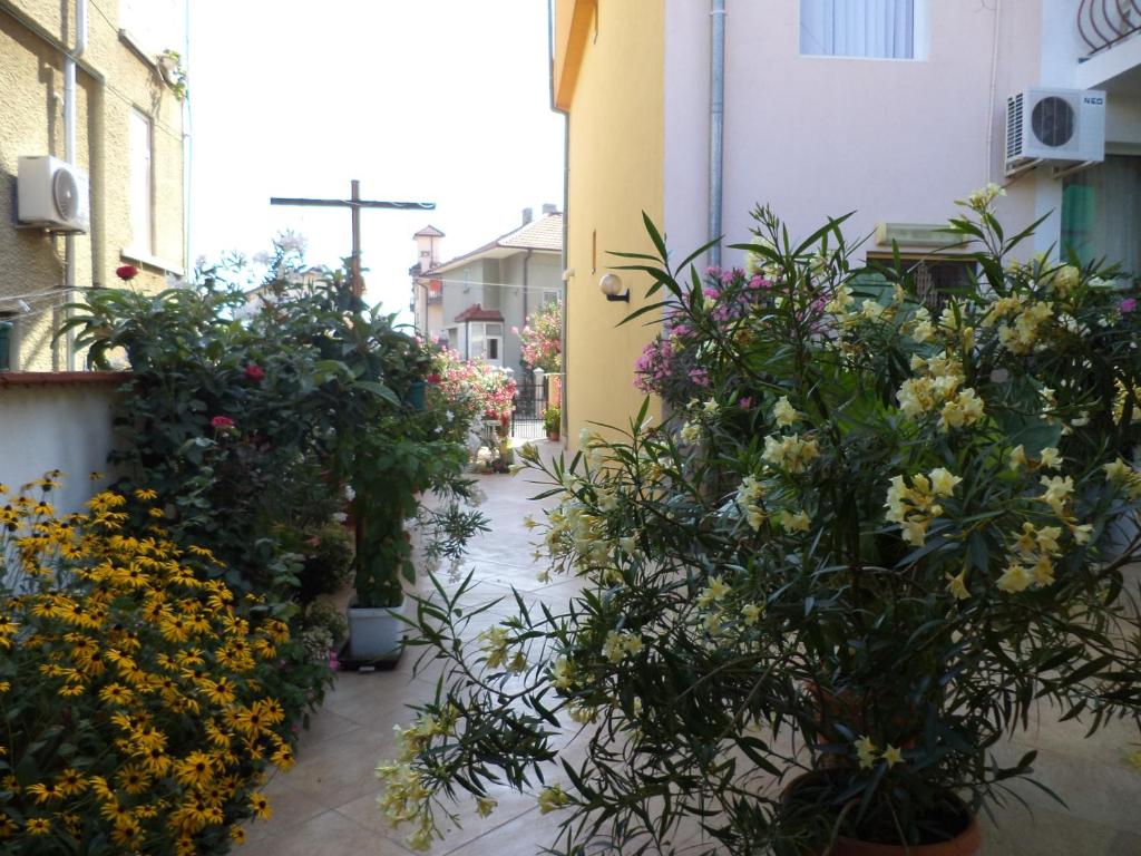 a walkway with flowers in pots on a building at Guest house Stoyanovi in Chernomorets
