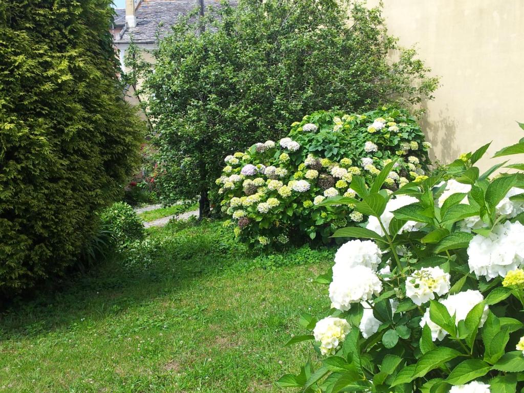 Vonkajšia záhrada v ubytovaní CASA BRAIS habitaciones y buen precio!
