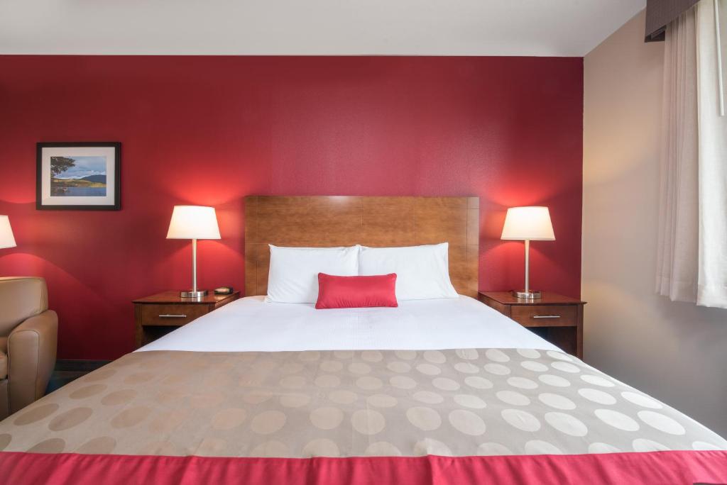 Bakken Airport XWA Hotel & Studios - 国王房间 - 不吸烟