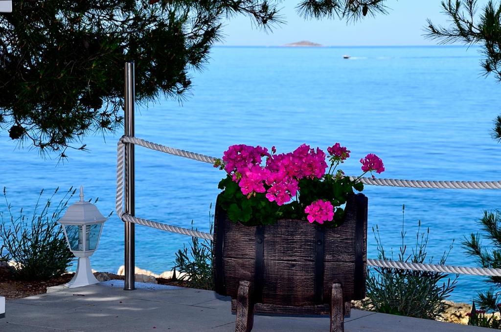 a flower pot with pink flowers in it next to the water at Apartment Sunset in Primošten