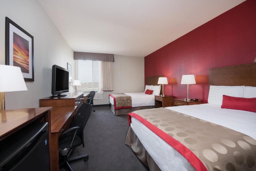 Bakken Airport XWA Hotel & Studios - 宠物友好的皇后室，有两张大床 - 不吸烟