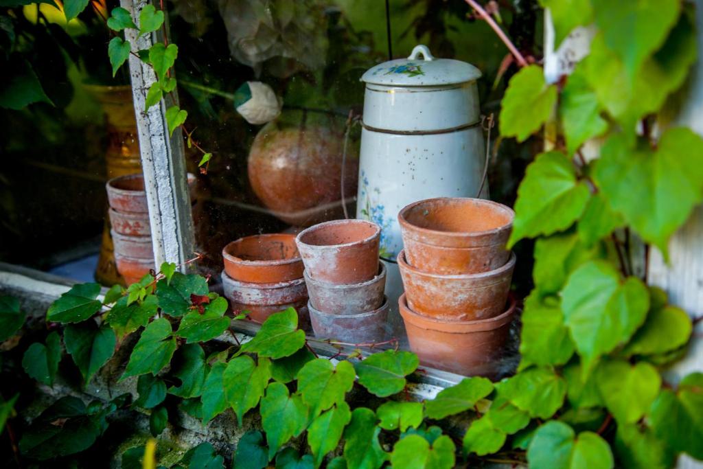 Zahrada ubytování Jardin et Hotel Particulier