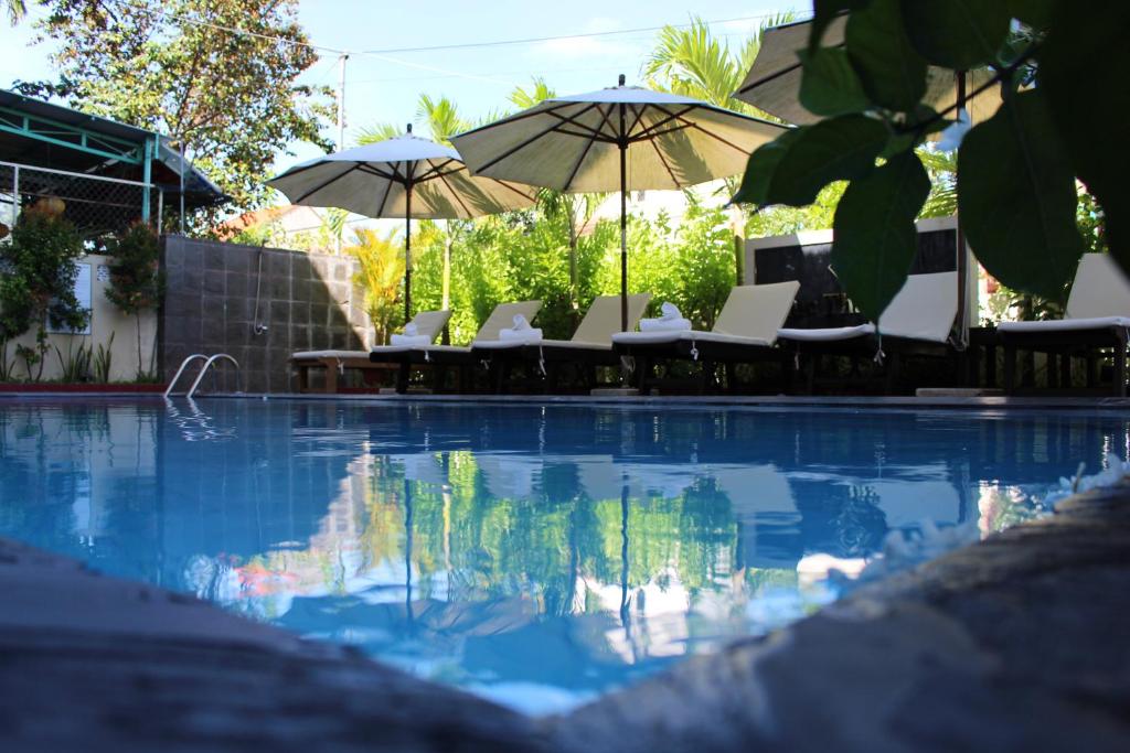 Phuc Thao Villa - Habitación Gemela De Lujo Con Vista A La Piscina