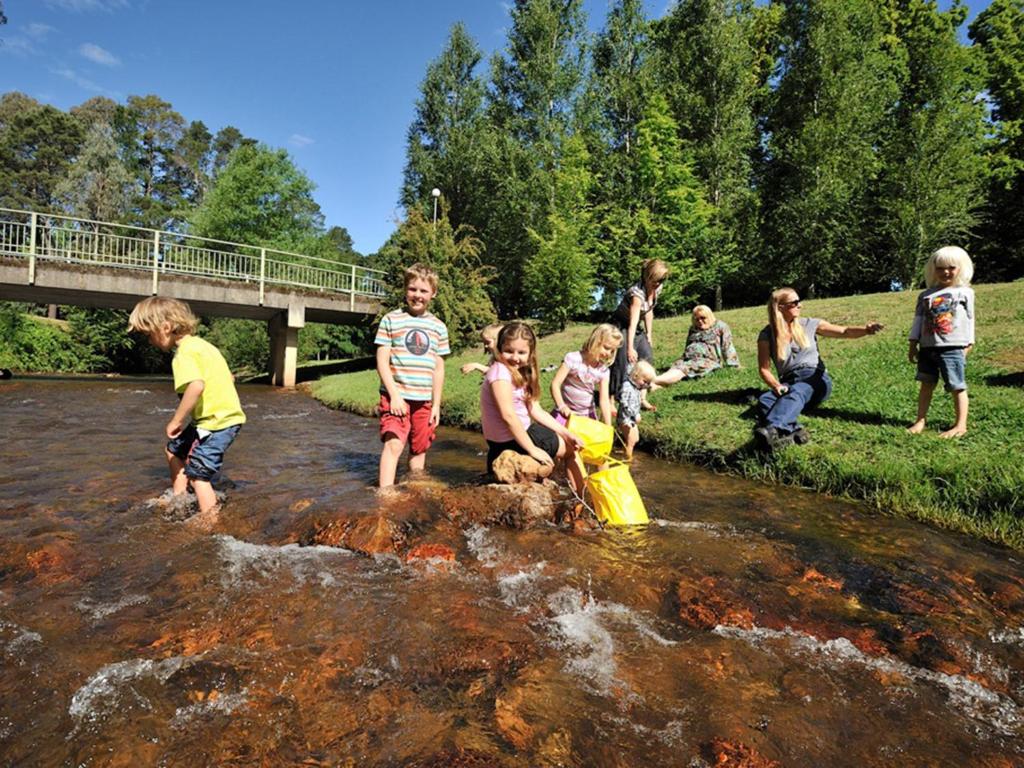 a group of children playing in the water in a river at NRMA Bright Holiday Park in Bright