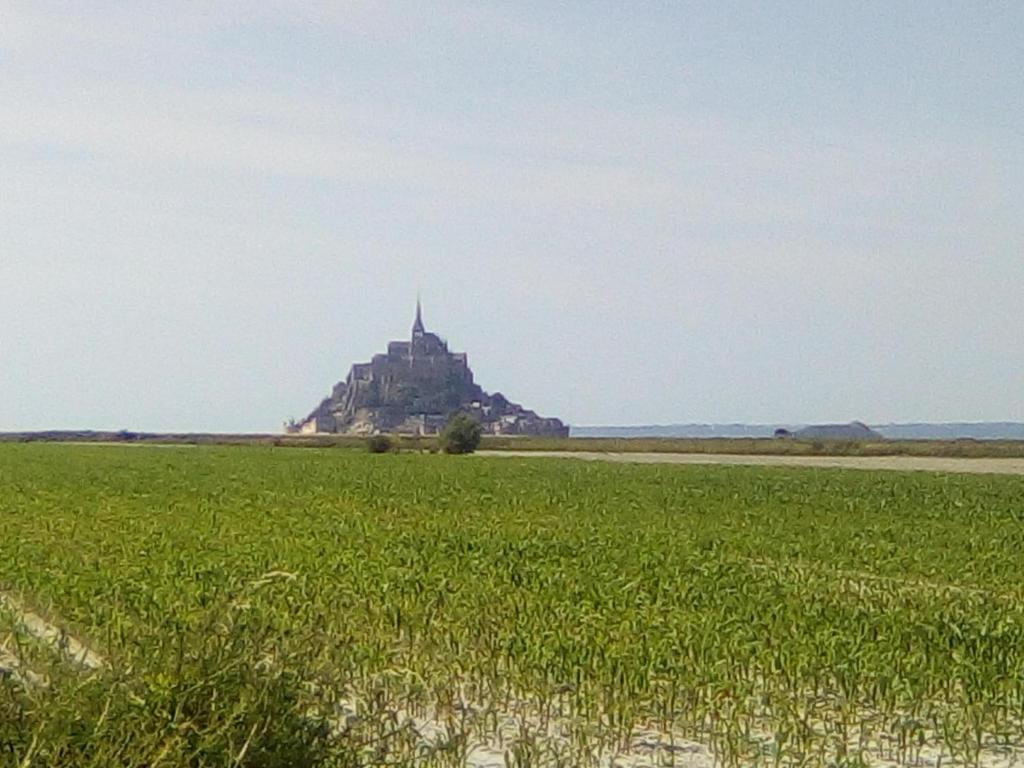 ソーにあるル クロ ドゥーの草原の中の島