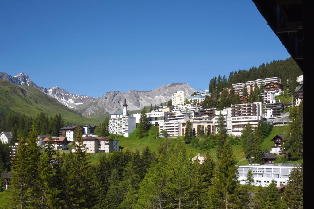 Příroda nedaleko hotelu