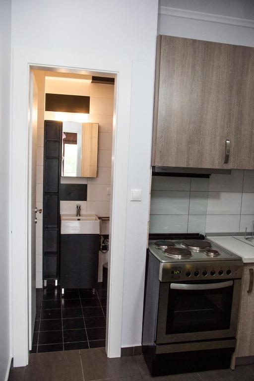 Kuchyň nebo kuchyňský kout v ubytování Sea view appartment in Geoponika