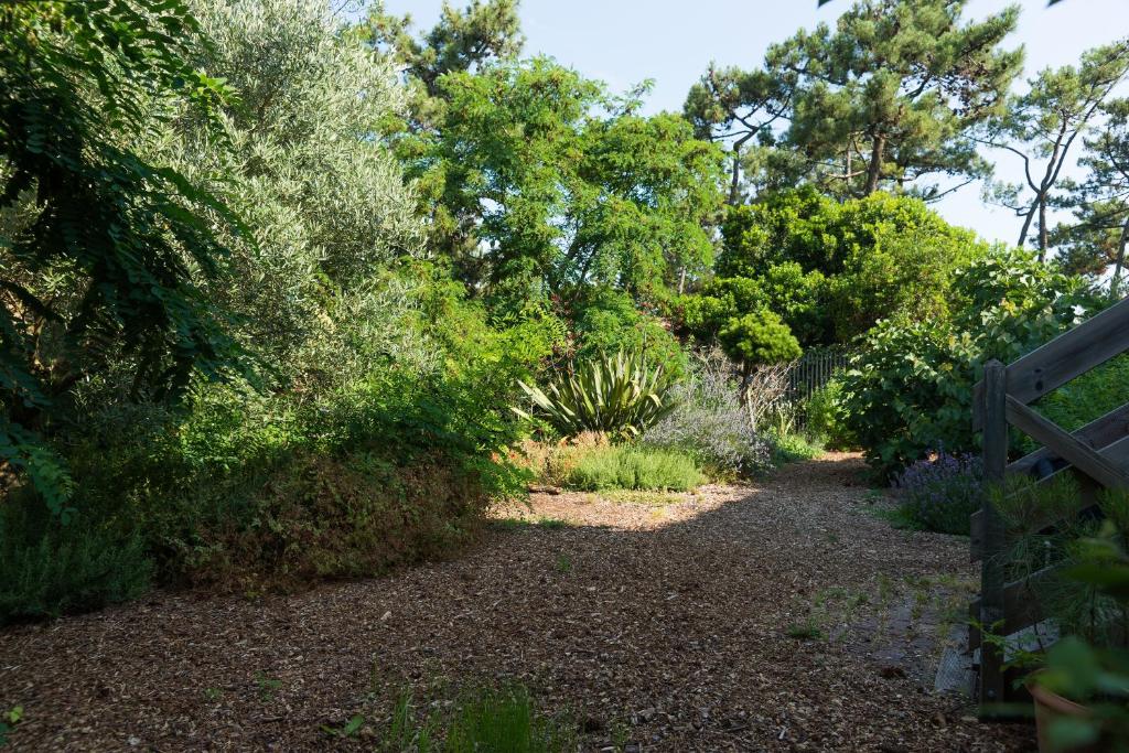 a garden with bushes and trees and a fence at Le Lodge du Cap Ferret in Cap-Ferret