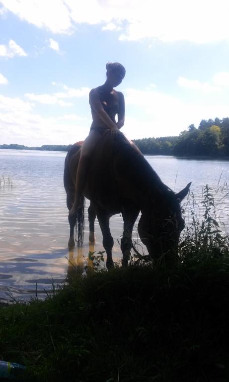 a woman sitting on a horse in the water at Chata Baryła in Sulęczyno