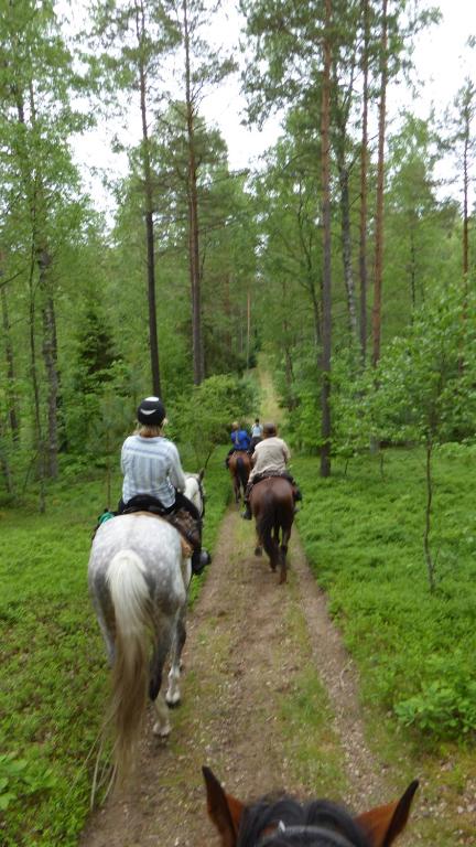 a group of people riding horses down a trail at Chata Baryła in Sulęczyno