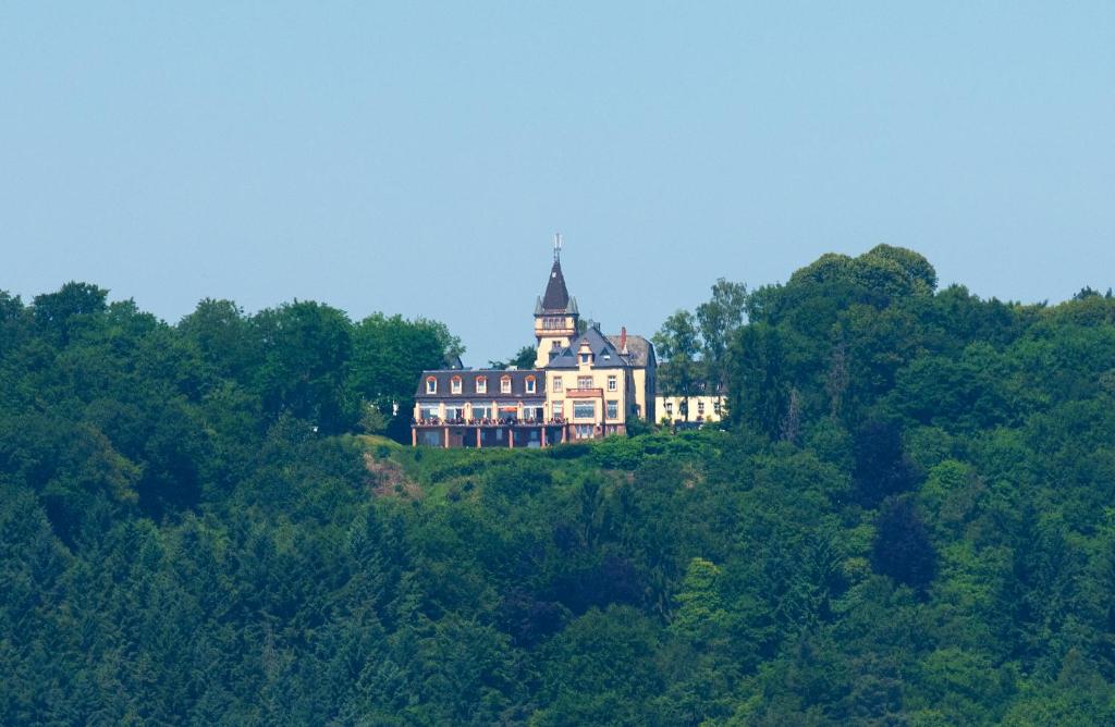 Příroda nedaleko hotelu