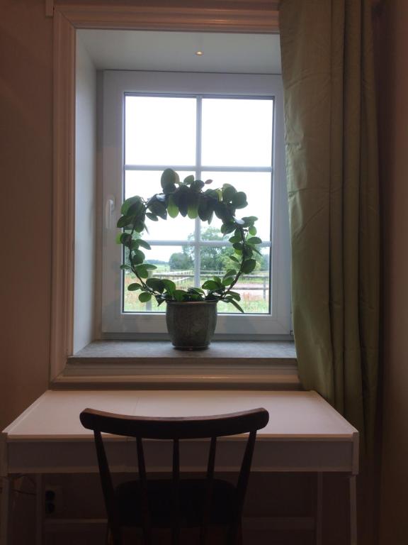 Fotografie z fotogalerie ubytování Ölands Yoga Studio & Islandshästar, Stugor & Rum v destinaci Mörbylånga