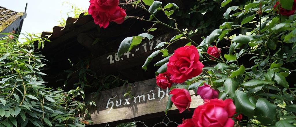 un ramo de flores rojas junto a una señal en Hotel Restaurant Huxmühle, en Osnabrück