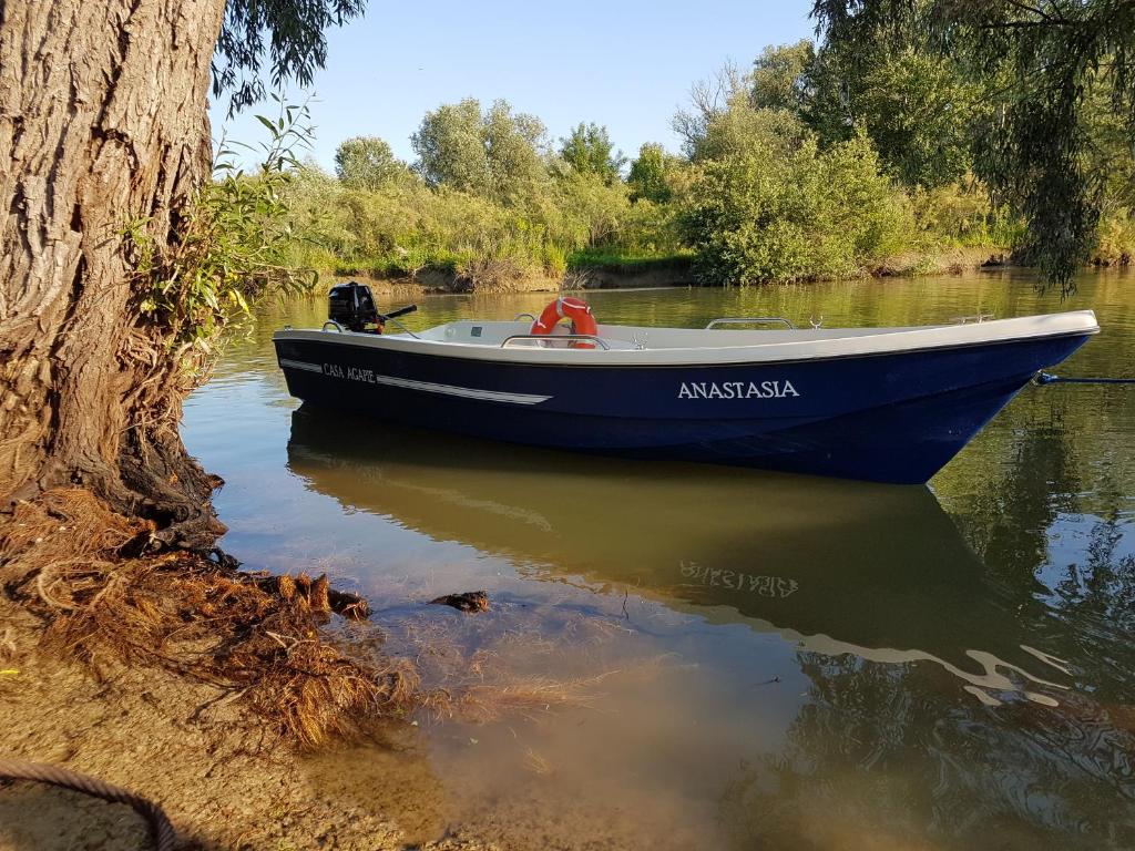 Výhled na řeku, která protéká v blízkosti prázdninového domu