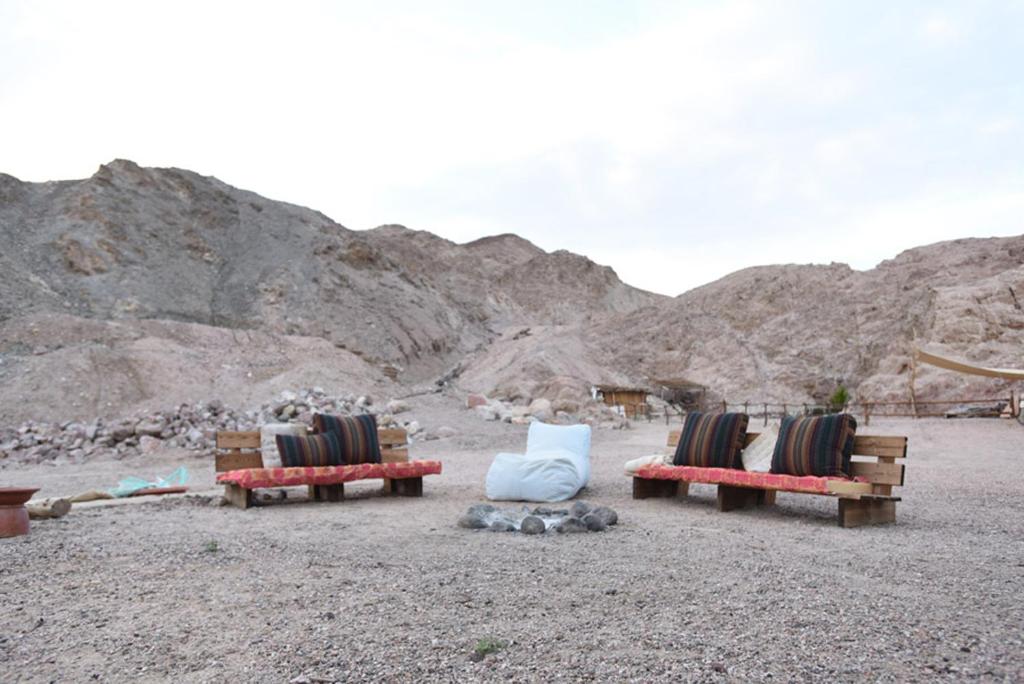 eine Gruppe von drei Bänken, die in der Wüste sitzen in der Unterkunft Williams House in Eilat