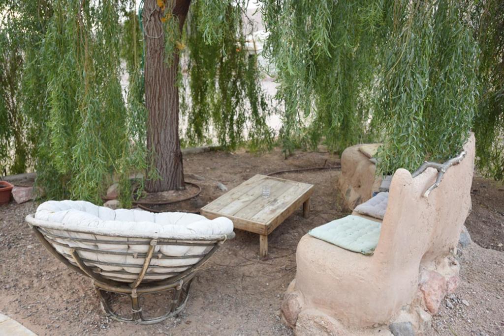 a bench and a chair and a table in a garden at Williams House in Eilat