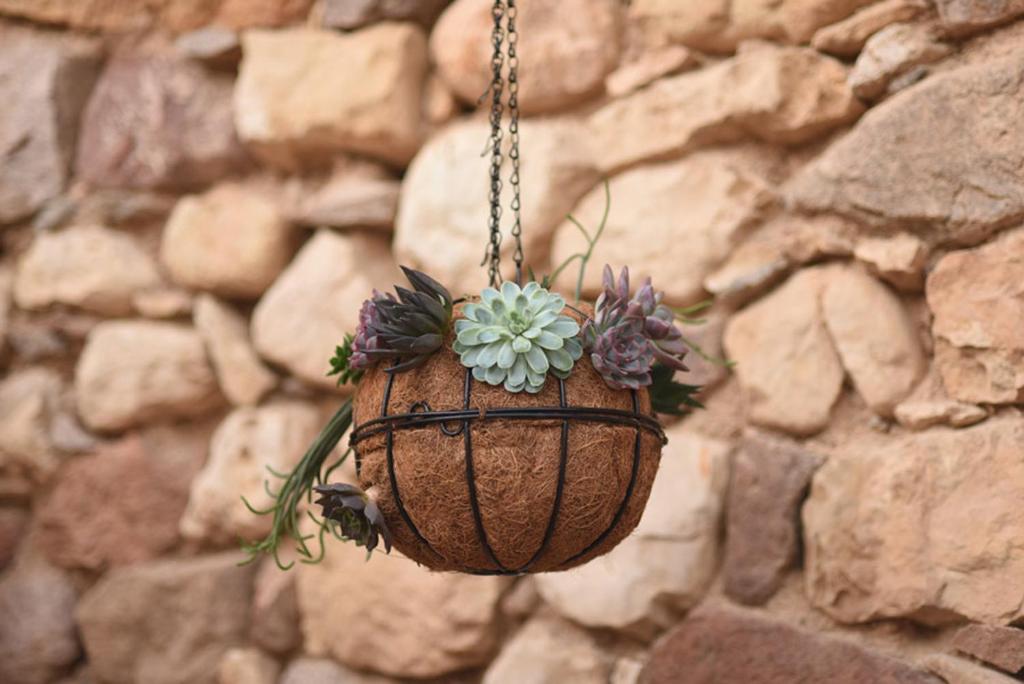 a flower basket hanging from a stone wall at Williams House in Eilat
