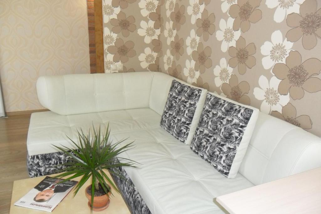 ペルミにあるStudio Apartment with view on Kamaの植物のあるリビングルームの白いソファ
