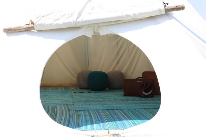 Fotografie z fotogalerie ubytování Storchencamp Gästehaus Purbach v destinaci Purbach am Neusiedlersee