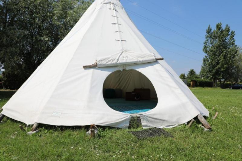 a white teepee tent in a field of grass at Storchencamp Gästehaus Purbach in Purbach am Neusiedlersee