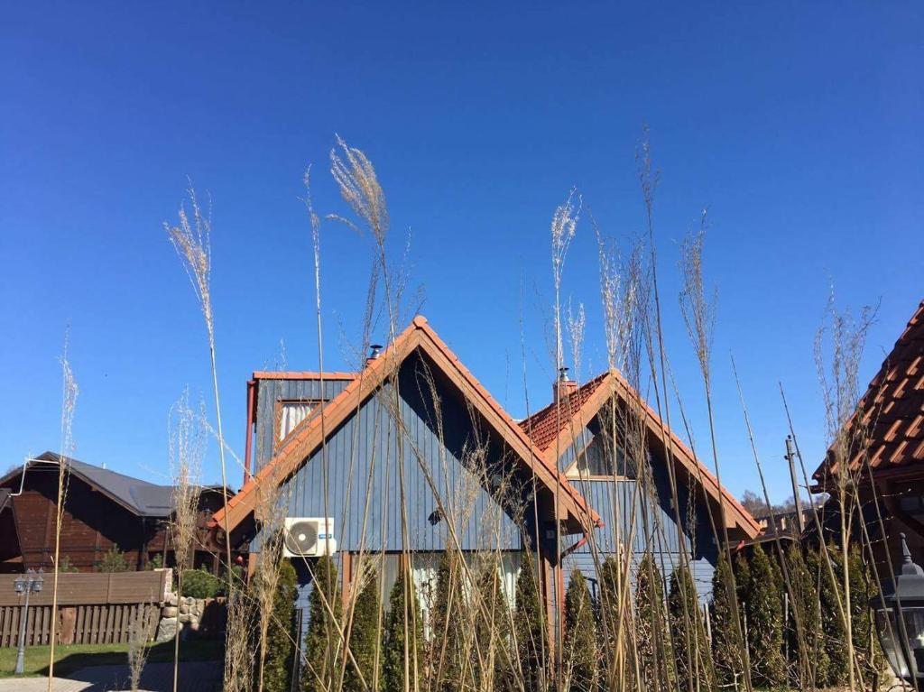 ein Gebäude mit einem Holzdach und hohem Gras in der Unterkunft Sunny cottage in Palanga