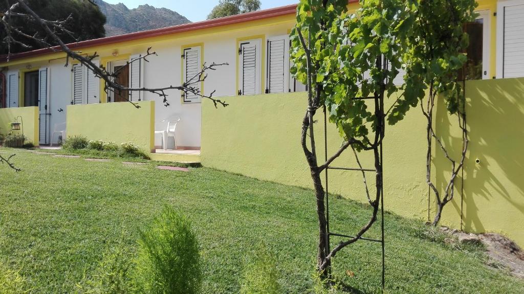 弗盧米尼馬焦雷的住宿－Il Girasole Alloggio，一座黄色和白色的建筑,在院子里有一棵树