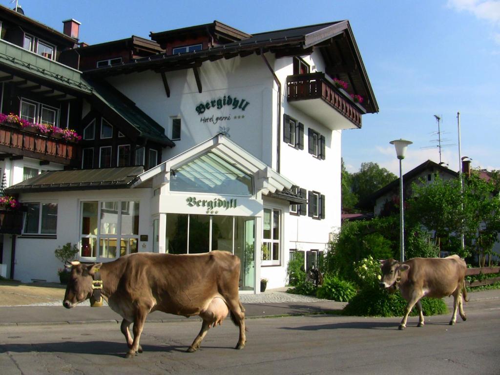 Zvířata v hotelu nebo okolí
