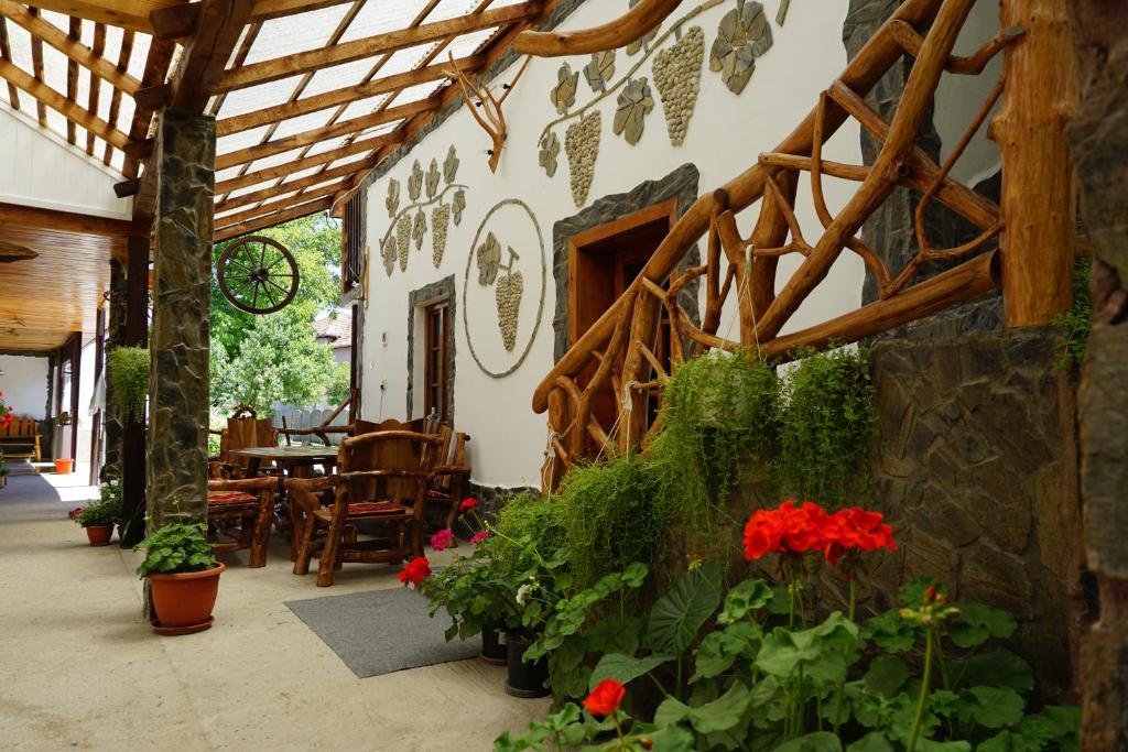 Zahrada ubytování Casa Vlad