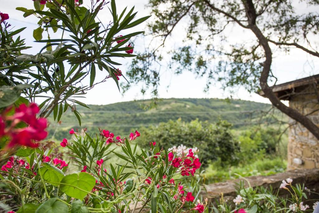 a garden with pink flowers and a view of a mountain at Apartments Baredi in Izola