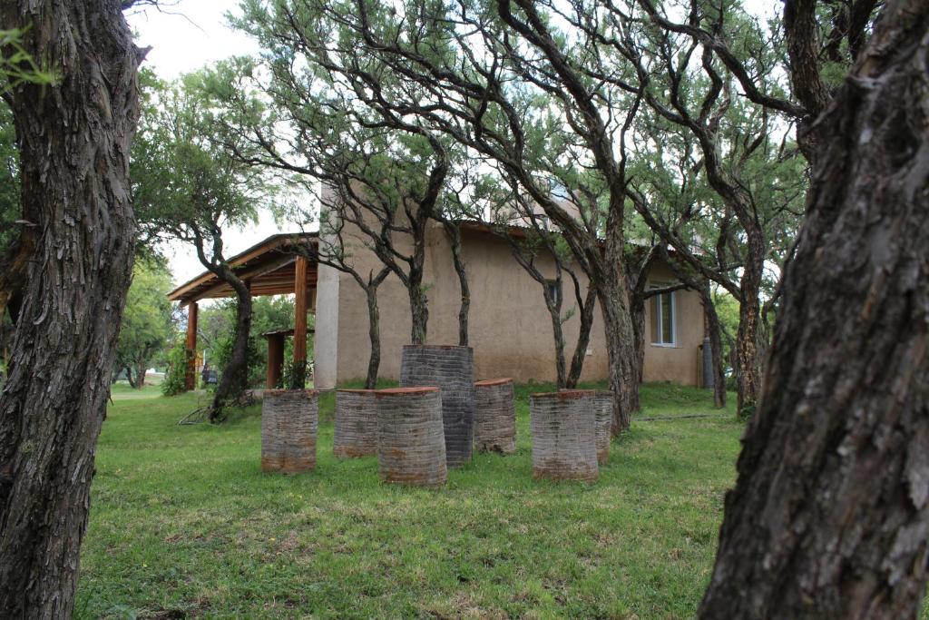 a group of trees in front of a building at Cabaña Los Piquillines in Cortaderas